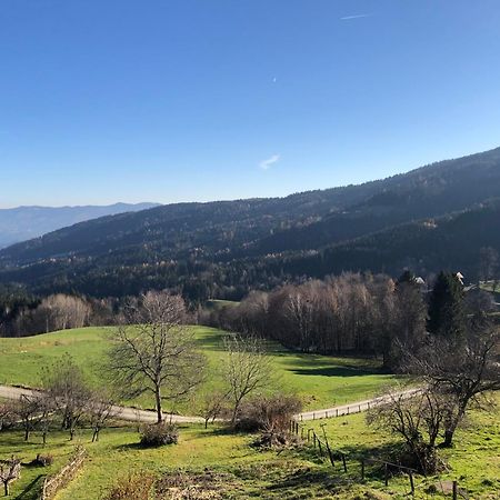 Апартаменты Mauthnerhube Uebernachten Mit Aussicht Sankt Oswald ob Eibiswald Экстерьер фото