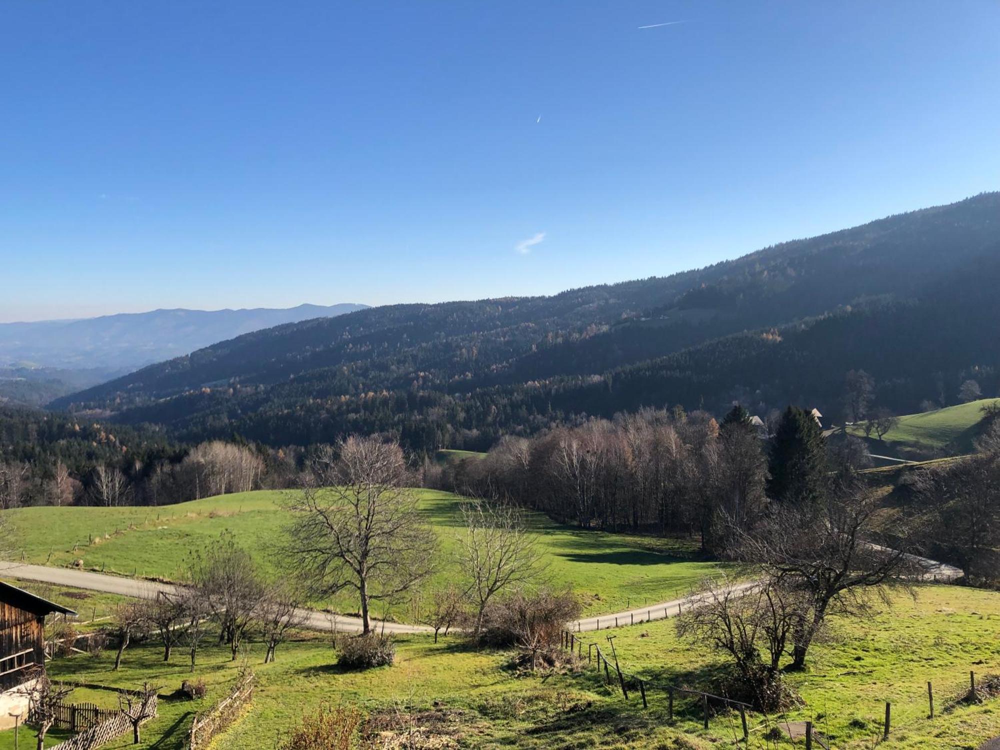 Апартаменты Mauthnerhube Uebernachten Mit Aussicht Sankt Oswald ob Eibiswald Экстерьер фото